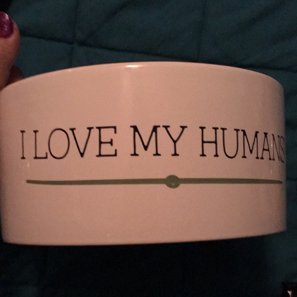 A Cute Doggie Bowl